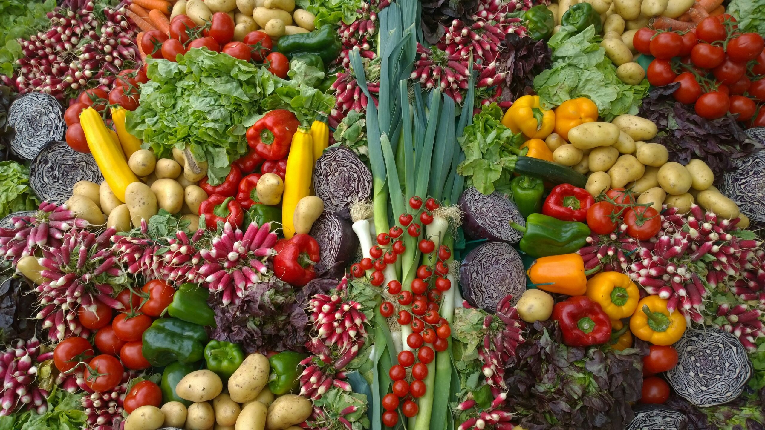 Verschiedene frische Gemüsesorten als Illustration zur Planung gegen Lebensmittelverschwendung